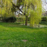 Krabbenhof Hasbergen