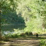 Långasjönäs Camping & Feriendorf