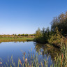 Vakantiepark de Toffe Peer