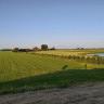 Kleine Camping De Duin