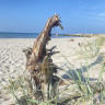 Löderups Strandbads Camping