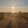 Camping Julianadorp Aan Zee
