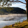 Haugsjåsund Camping