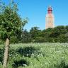 Minicamping De Vuurtoren