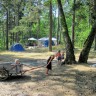 Ula Camping - camp by the ocean between the pine trees