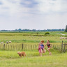 Natuurkampeerterrein it Dreaml&acirc;n