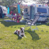 Camping In Het Fruit