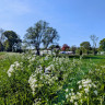 Landschapscamping Het Hazenpad