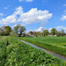 Landschapscamping Het Hazenpad